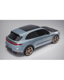 Capot TECHART pour Porsche Cayenne V6 S E-Hybrid S-E-Hybrid GTS Turbo E-Hybrid Coupé et SUV 9YB E3.2 (2024+)