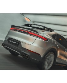 Aero Wings arrière TECHART pour Porsche Cayenne V6 S E-Hybrid S-E-Hybrid GTS Turbo E-Hybrid GT Coupé SUV 9YB E3.2 (2024+)